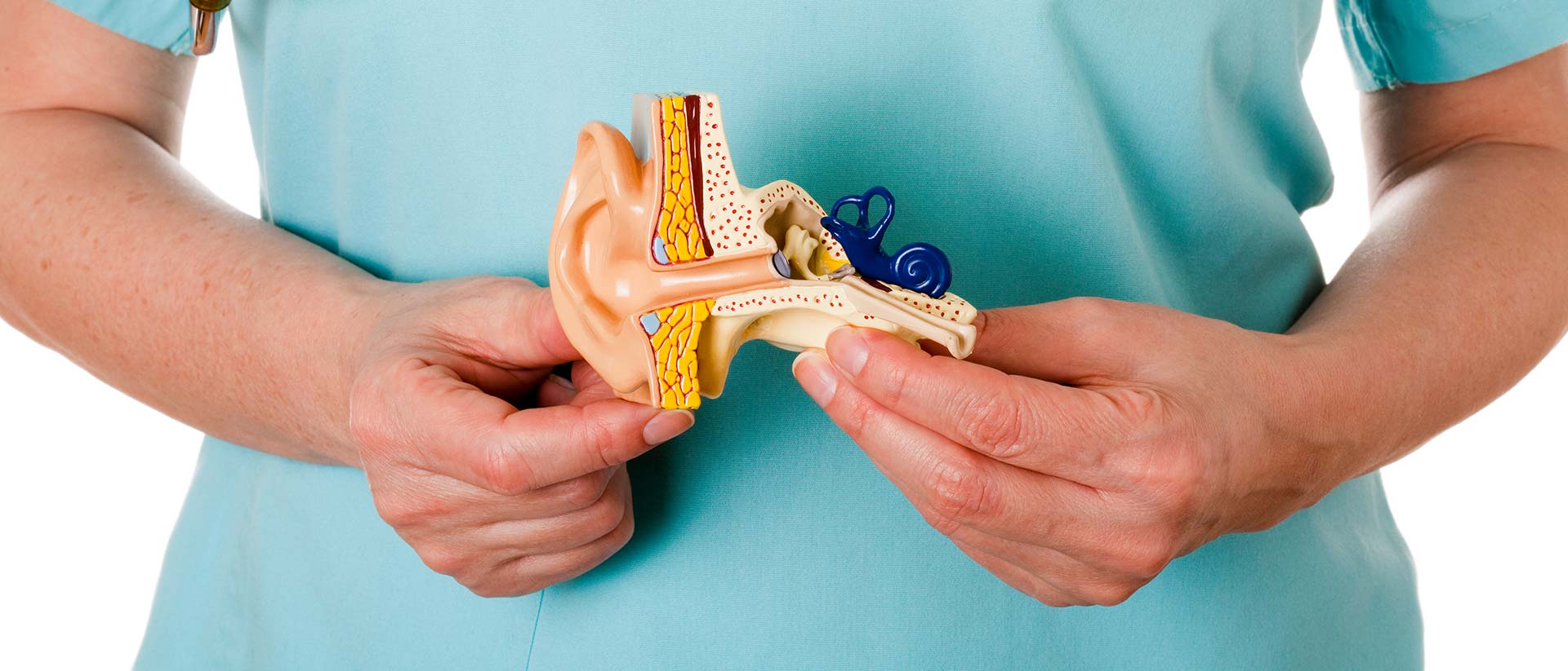 Vestibular neuritis: "Sudden Hearing loss of the balance system"